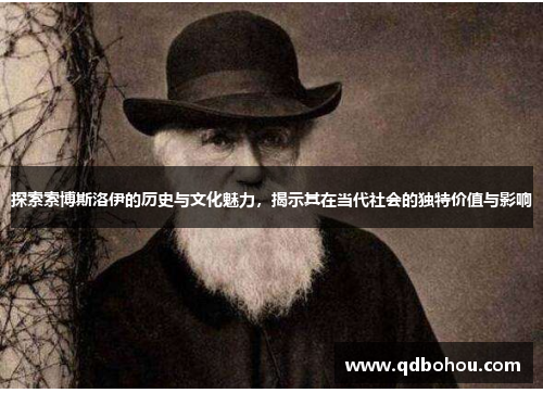 探索索博斯洛伊的历史与文化魅力，揭示其在当代社会的独特价值与影响